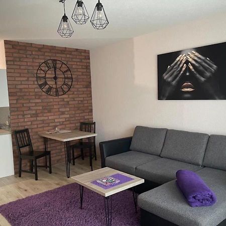 Apartamenty Bartnicza C Bielsko-Biala Exterior photo