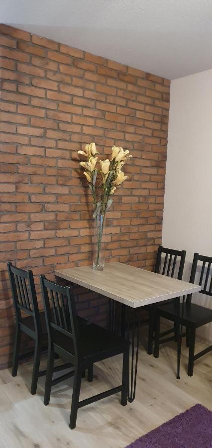Apartamenty Bartnicza C Bielsko-Biala Exterior photo