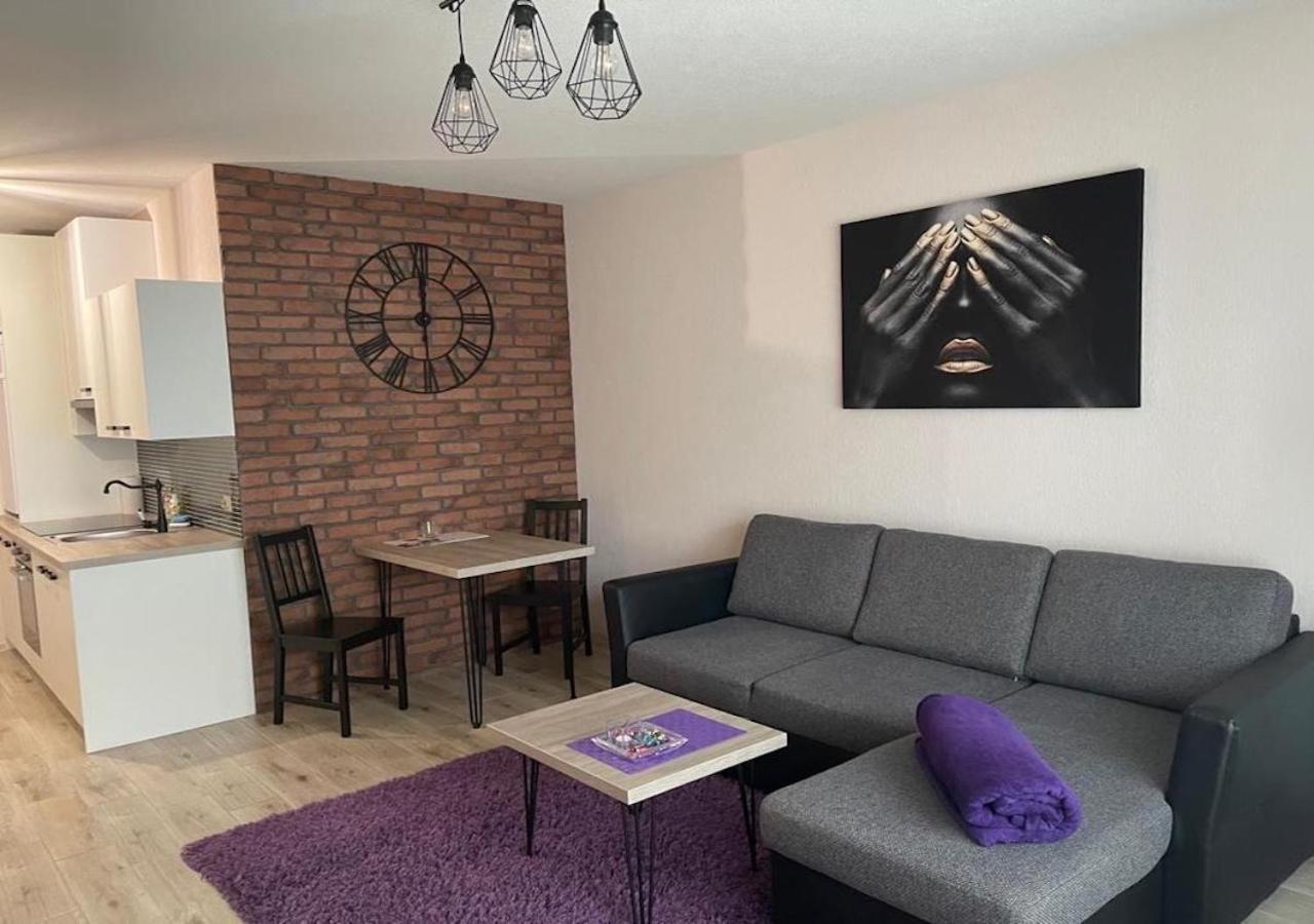 Apartamenty Bartnicza C Bielsko-Biala Exterior photo